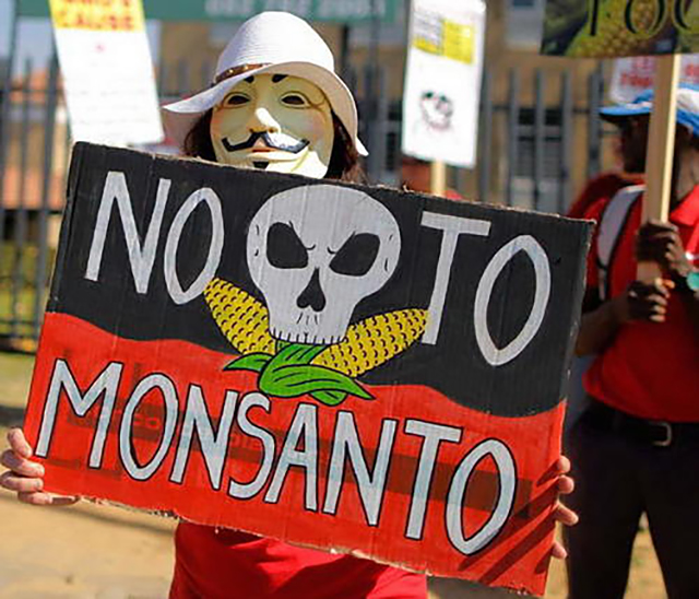 用种子操控全世界粮食？邪恶龙头孟山都，因何成了过街老鼠？