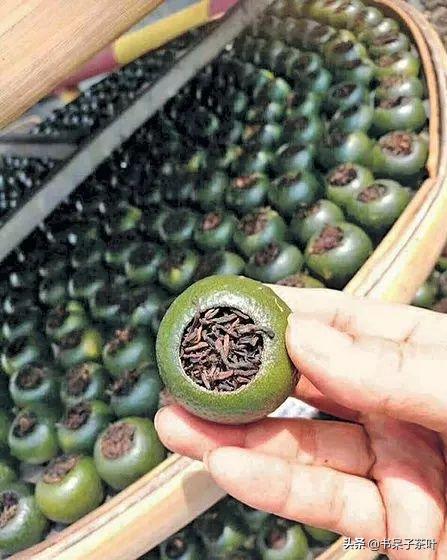 不贪小便宜，不交智商税，阿呆教你如何挑小青柑