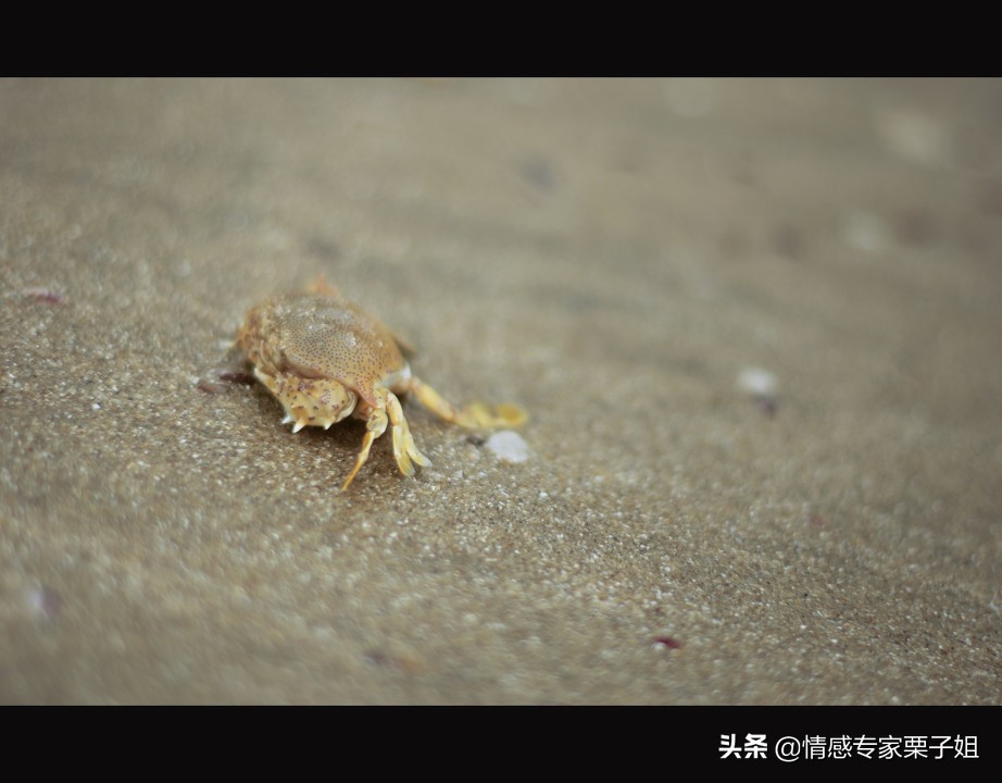 真心这东西本就难遇,真心这种东西能够拥有多久