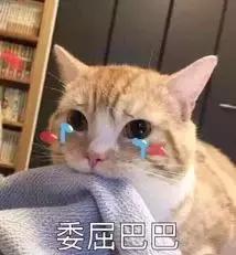 那个同纯棉“撕”到底的品牌,后来怎么样了?