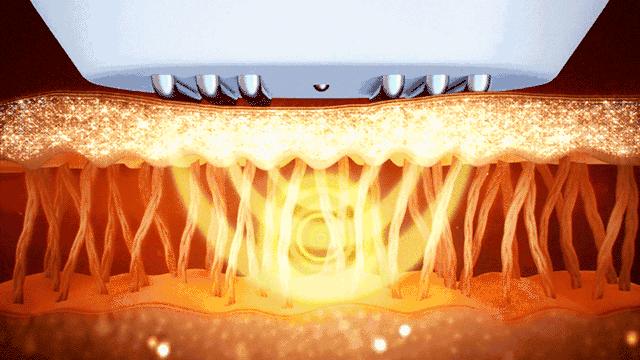 刘亦菲和范冰冰的演技遭人诟病,刘亦菲和范冰冰的脸融合