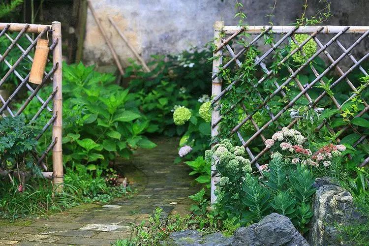 梦中的菜园小视频,我的梦中菜地