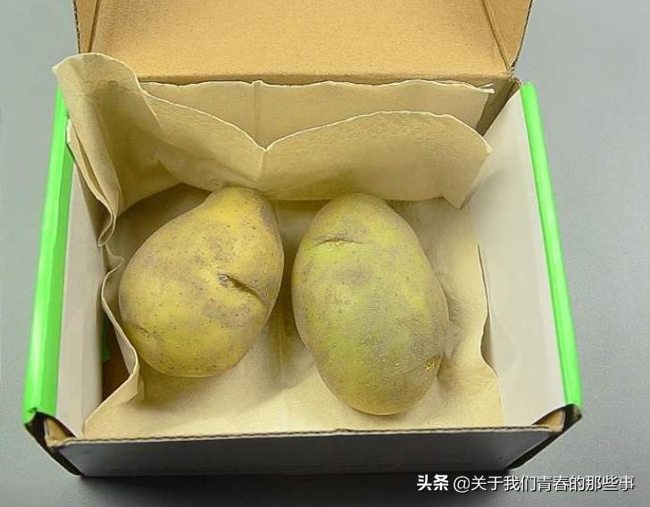 土豆发小芽没变青还能吃吗,土豆这样存一年都不变青不发芽