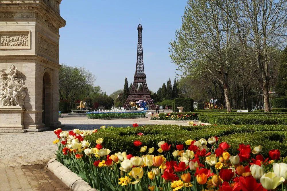 北京丰台五一旅游最佳去处,丰台区赏花景点