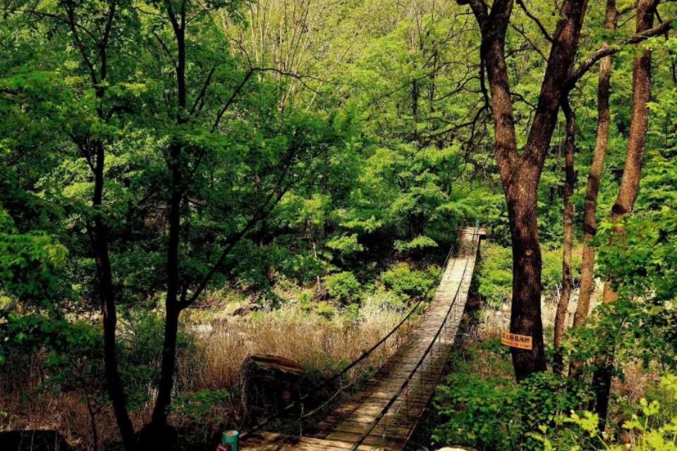 沈阳抚顺猴石国家森林公园,辽宁最美公园