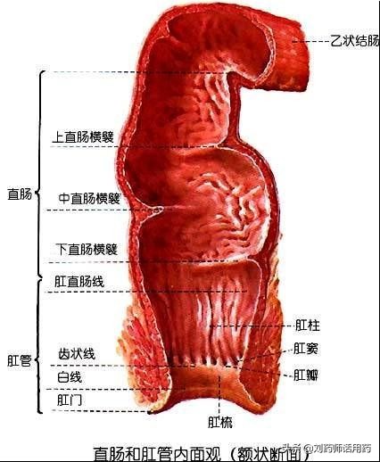 经常直肠给药有危害吗,直肠给药的危害案例