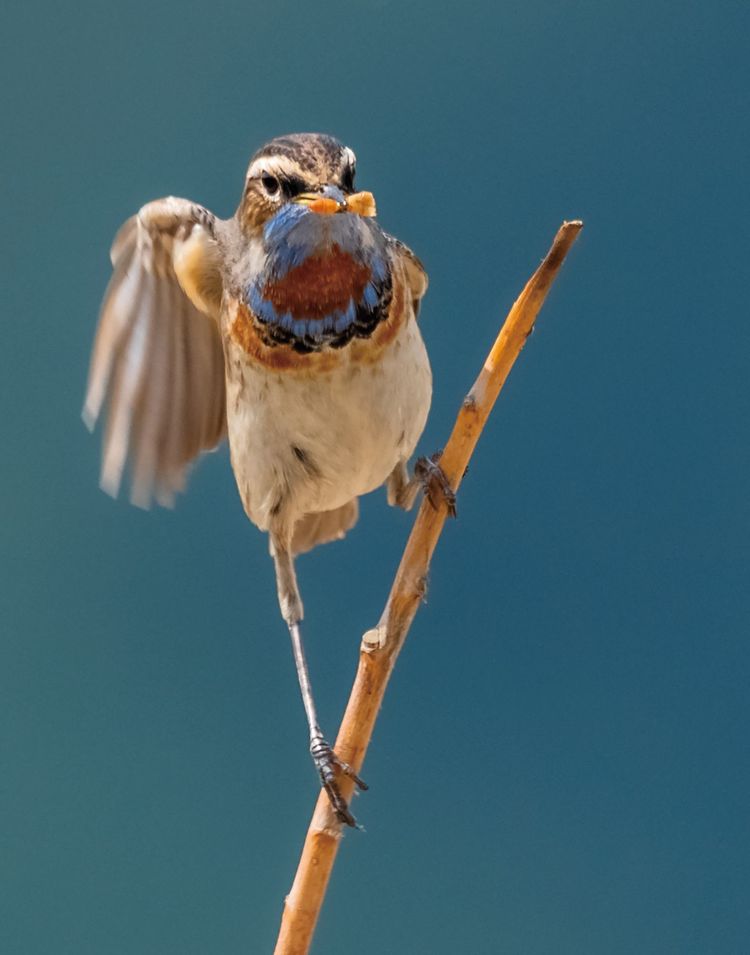 情人岛拍摄地点,情人岛航拍视频