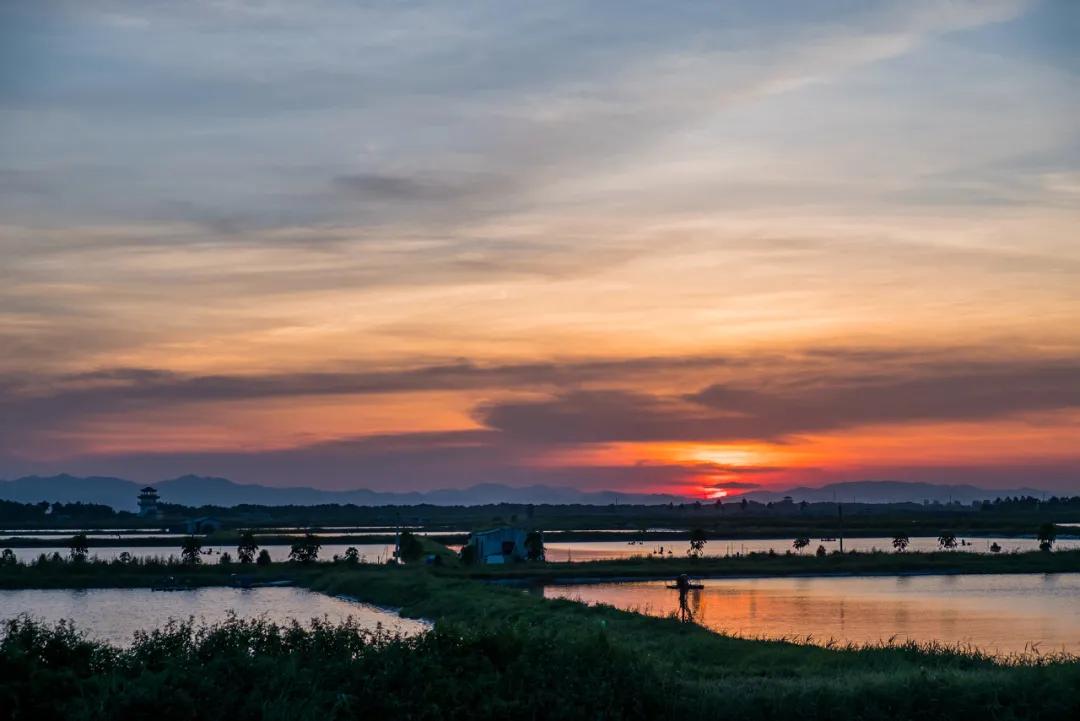公母螃蟹哪种最好吃,最便宜的螃蟹哪里最好吃
