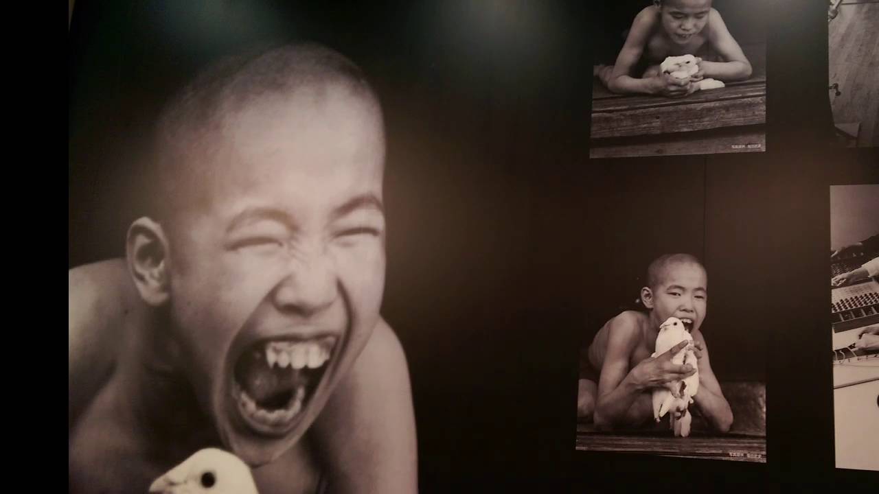 水银的毒性和危害,多少剂量的水银能引起中毒