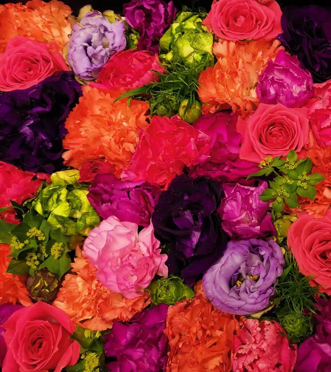 鎱㈣揪涓栫晫,鎱㈡父鍏ㄤ笘鐣岀浜屽鍦ㄧ嚎瑙傜湅