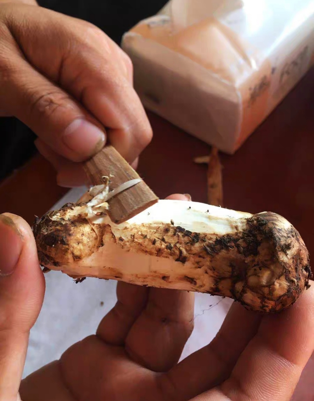 新鲜松茸怎么保存,新鲜的松茸菇怎么保存