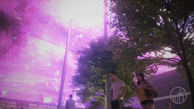 迪拜世博会中国馆正式试运营,迪拜世博会各国展馆建筑抢先看