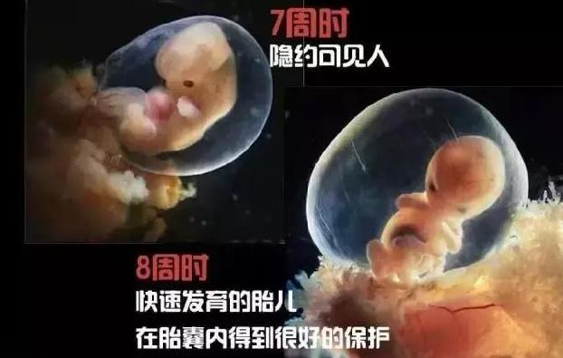 瀛愬寰堣杽浼氶暱鍘氬悧,瀛愬鏈夌偣钖勬湁浜嬪悧