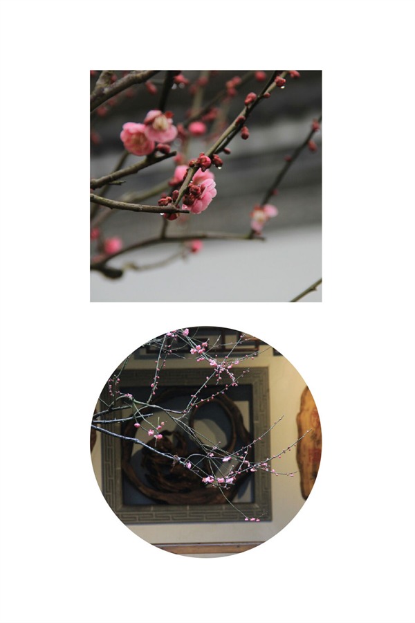 根博园根雕,根宫佛国根雕视频