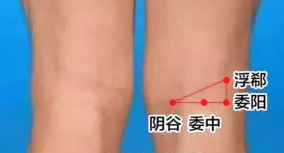 人体一共有三道保护系统,人体三大保护屏障分别是