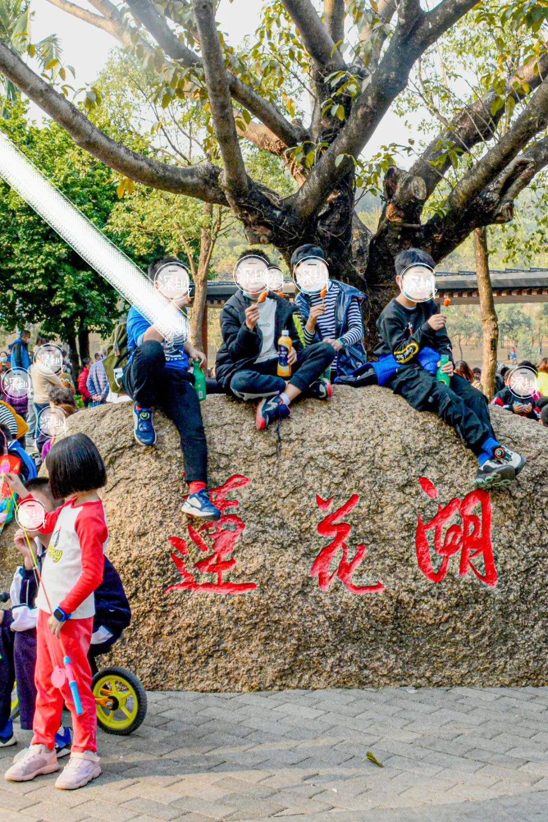 莲花山绿了没,莲花山红色景点有哪些