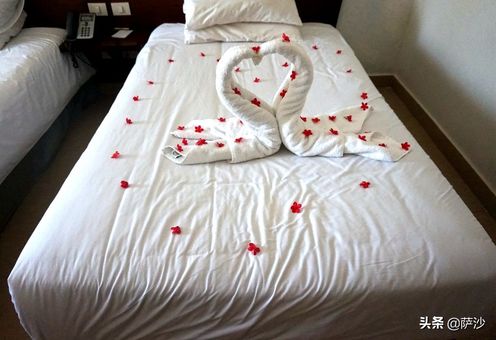 萨胖在埃及开罗差点遭遇*弹炸**袭击：萨沙埃及之旅第5天