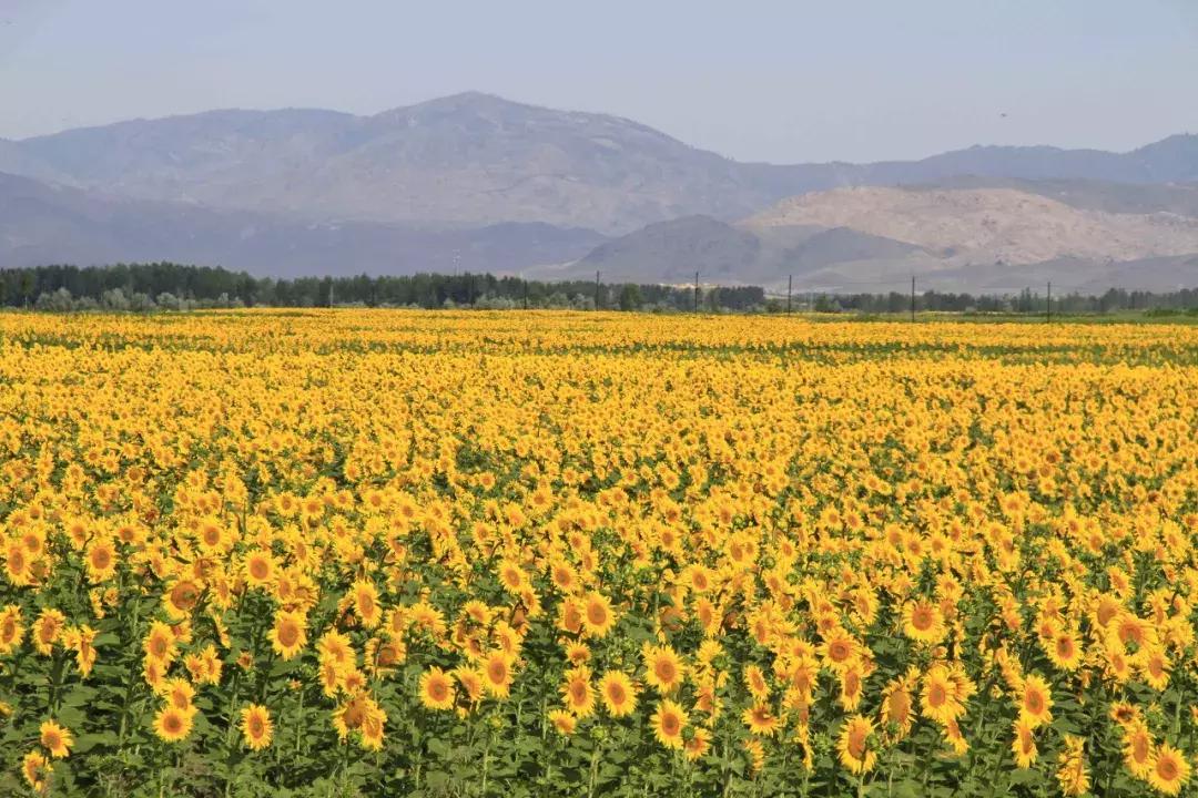 新疆的天堂在哪,新疆人间天堂在哪