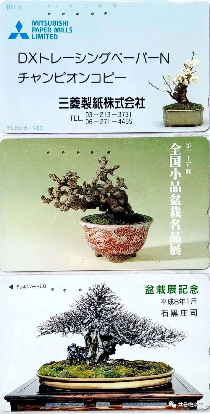 鐩嗘櫙鑱旂郴鐢佃瘽鍙风爜,涓鐩嗘櫙鑱旂郴鏂瑰紡