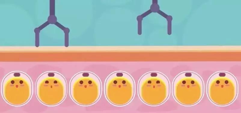 减肥值得交智商税吗,所有减肥产品都是智商税