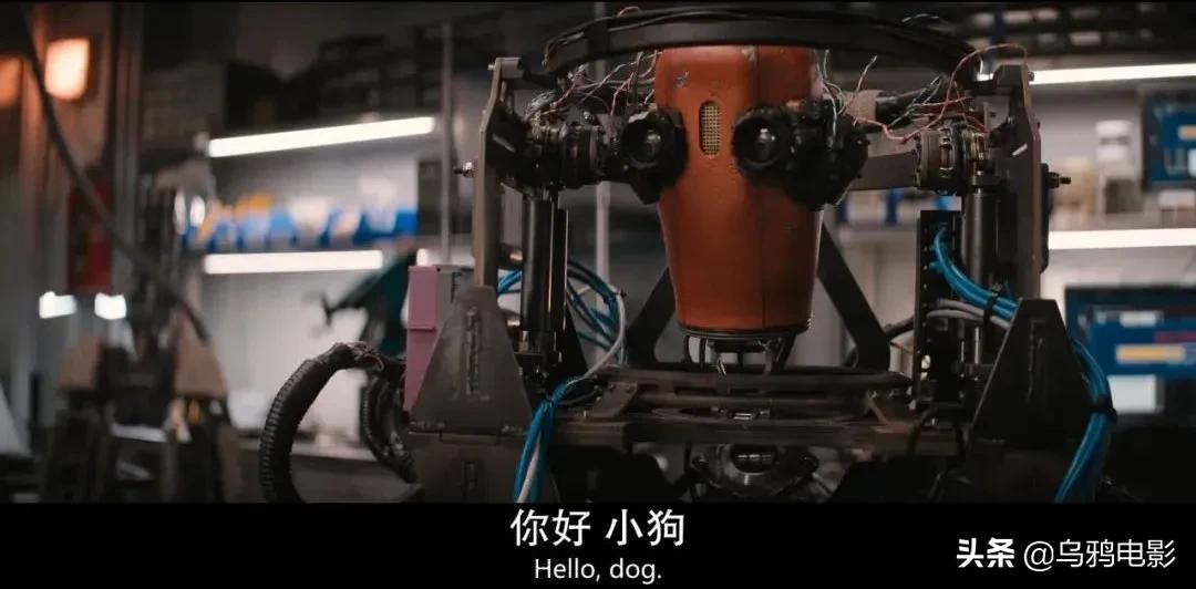 一部被低估的科幻电影末日,现在最火的末日片有哪些