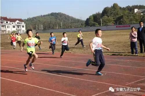 安徽九子山公学青华分校小学,安徽省九子山青华分校