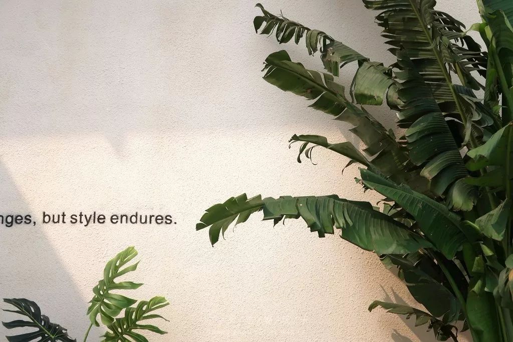 广州简约高级的拍照地方,广州免费室内拍照地方推荐