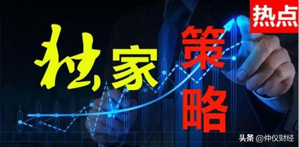 仲仪钳形万用表,仲仪