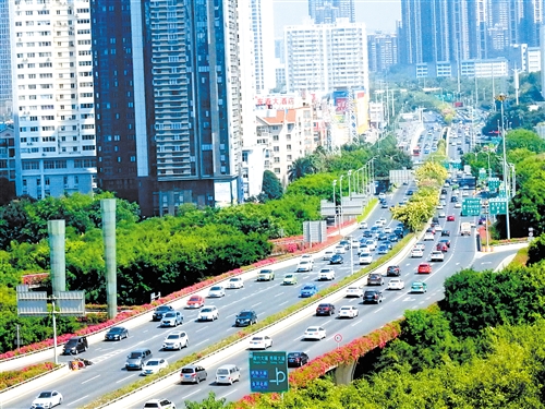 过半司机收入低！南宁相关部门发布网约车市场风险预警