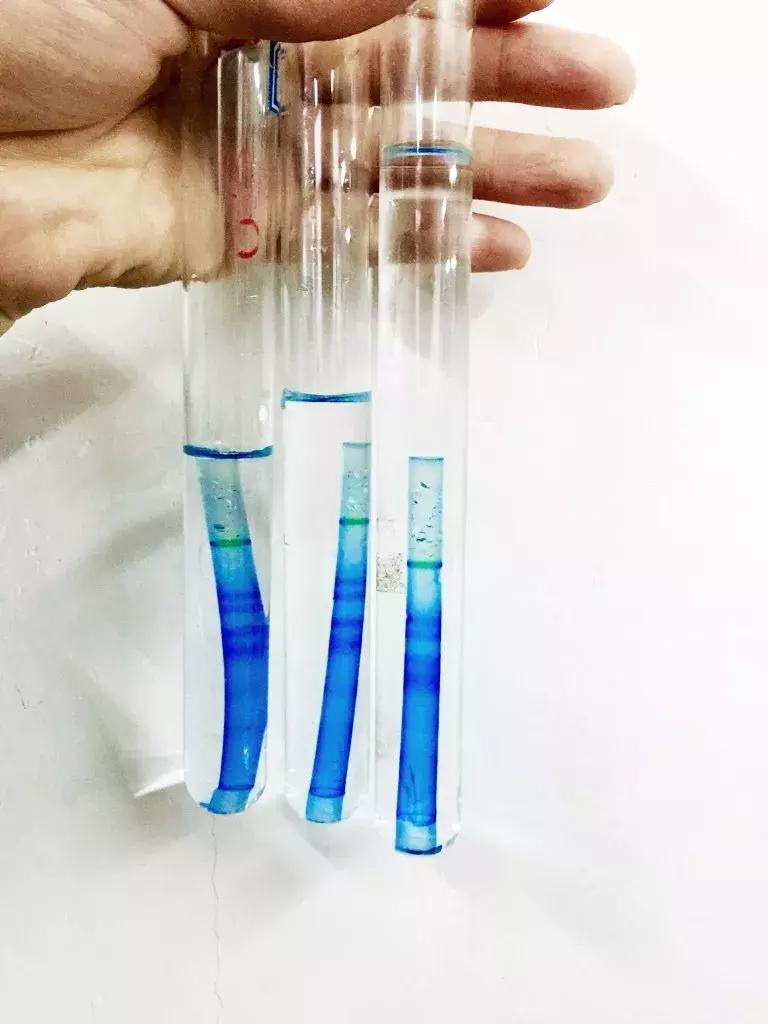 摄影大赛征稿|赋予色彩的世界