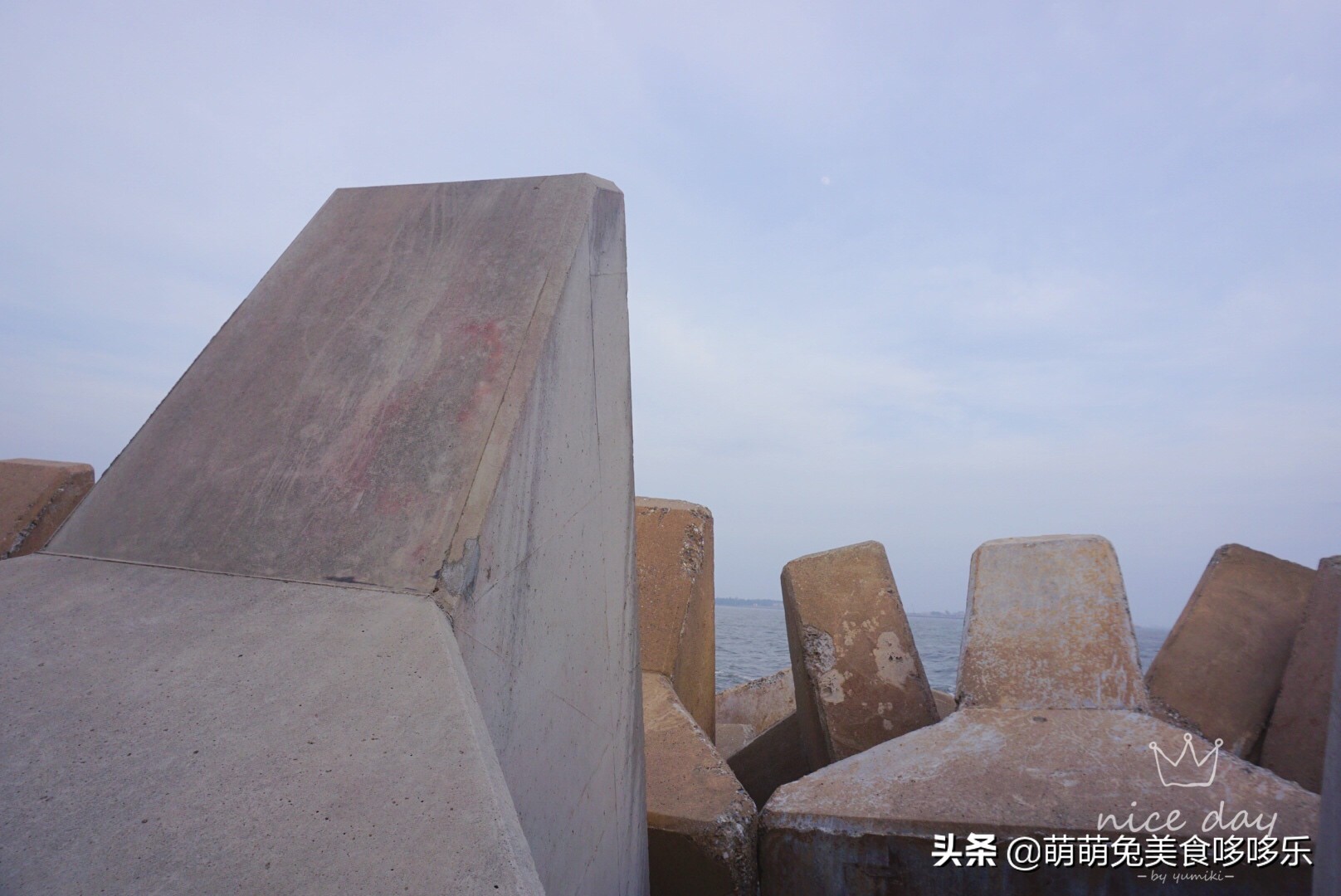 七月你好直播完整版,七月你好表演