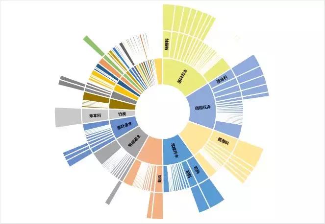 excel高级可视化饼状图,excel旭日图使用技巧