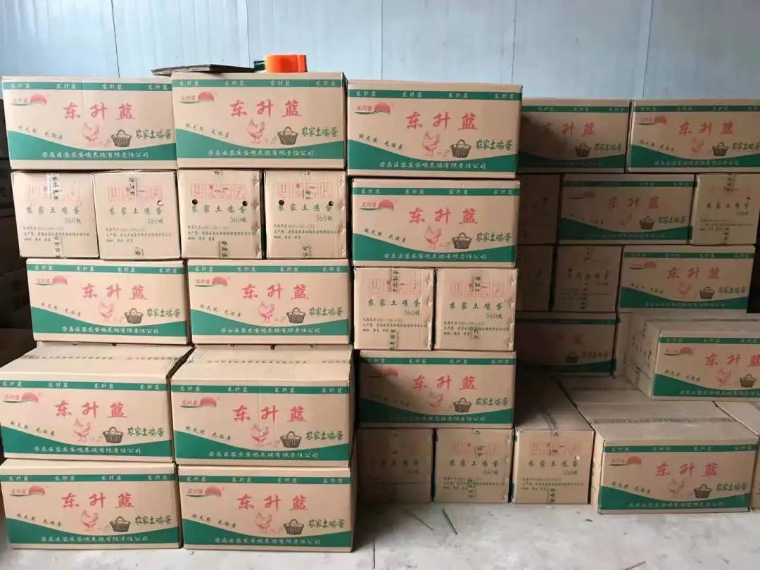 蛋鸡行业的发展方向,蛋鸡行业的未来发展方向