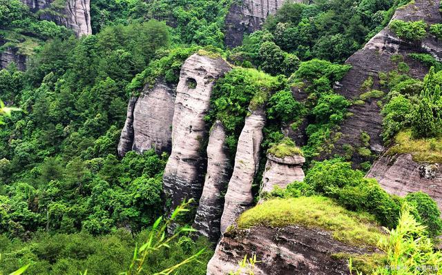 诗经知我者谓我心忧全文,诗经黍离之悲