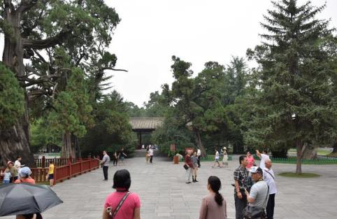 重温红色的圣地,重温红色之旅品味延安文化