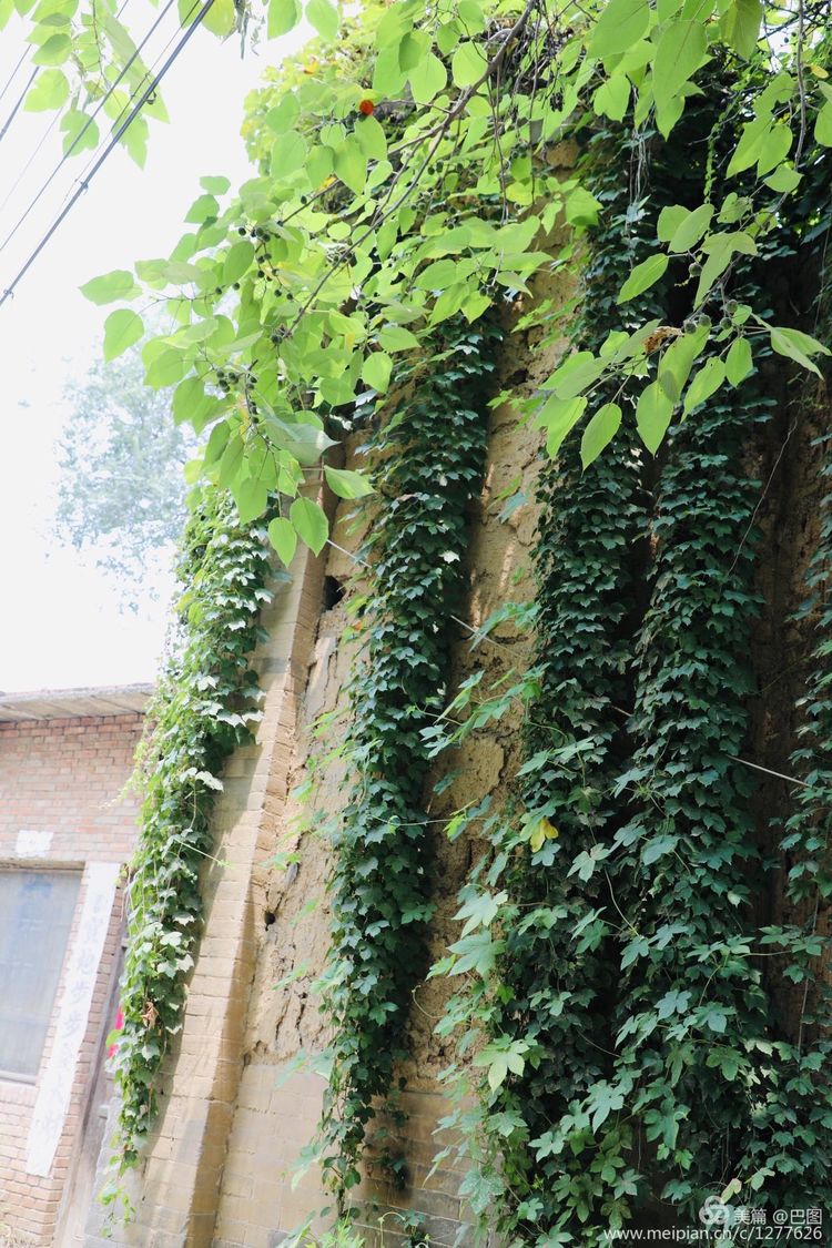 洛阳偃师徒步旅行，7个多小时3万多步，轘辕关下探访火星宫