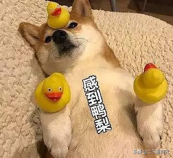 辽宁省幼儿园收费标准,辽宁省幼儿园收费管理条例