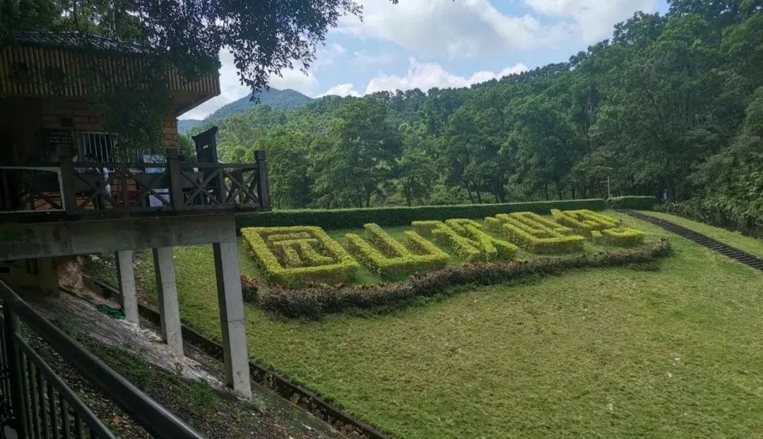 深圳这些景区将全部关闭,深圳疫情旅游景点什么时候开放