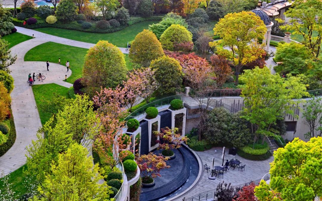 万株郁金香春天,一百万株郁金香