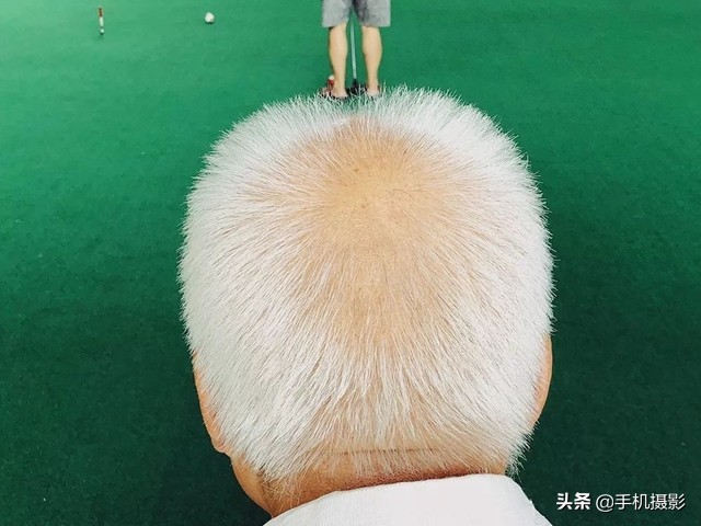 ippa摄影大赛年度总冠军,ippa摄影大赛2014