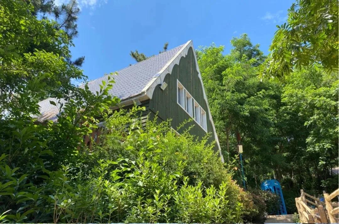 青岛景点春节免费开放通知,青岛六十岁老人去哪些景点免费