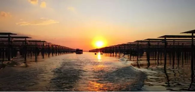 1500v光伏发电系统发展现状,鉴衡认证光伏