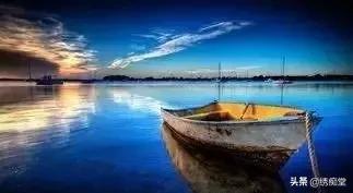 迷茫的养鸟朋友，看看这篇文章