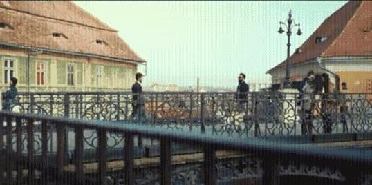 为什么导盲犬会受歧视,导盲犬被歧视合集