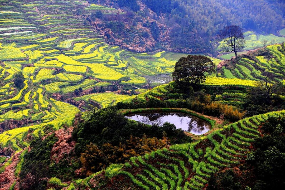 冬天婺源绝美旅游攻略,去婺源两天攻略
