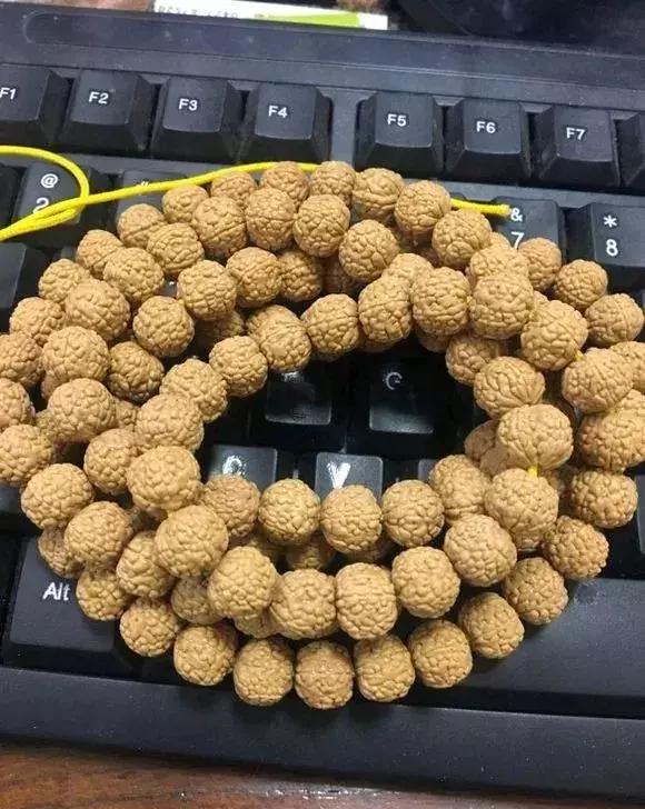 金刚贵贱区别,金刚菩提多久能红