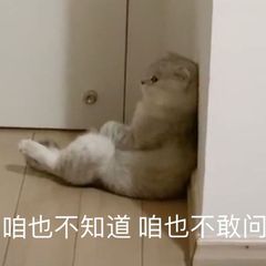 玩家悔氪？《梦间集》：能搞凉我的只有我自己