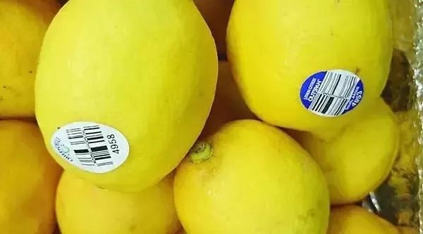 陕西红富士水果,新鲜红富士让您吃得放心