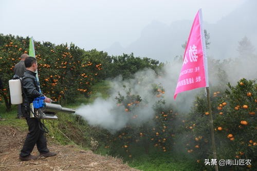 果园用水如何处理,果园缺水如何救活