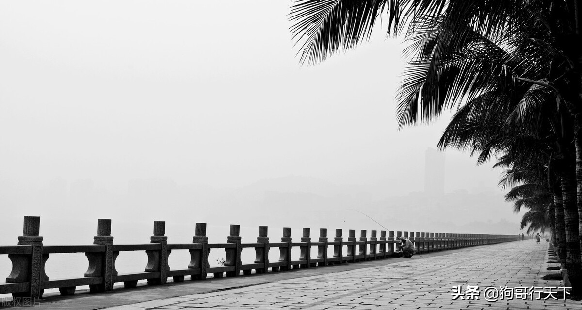 珠海景点排行榜前十名,珠海免费开放的沙滩十大免费景点